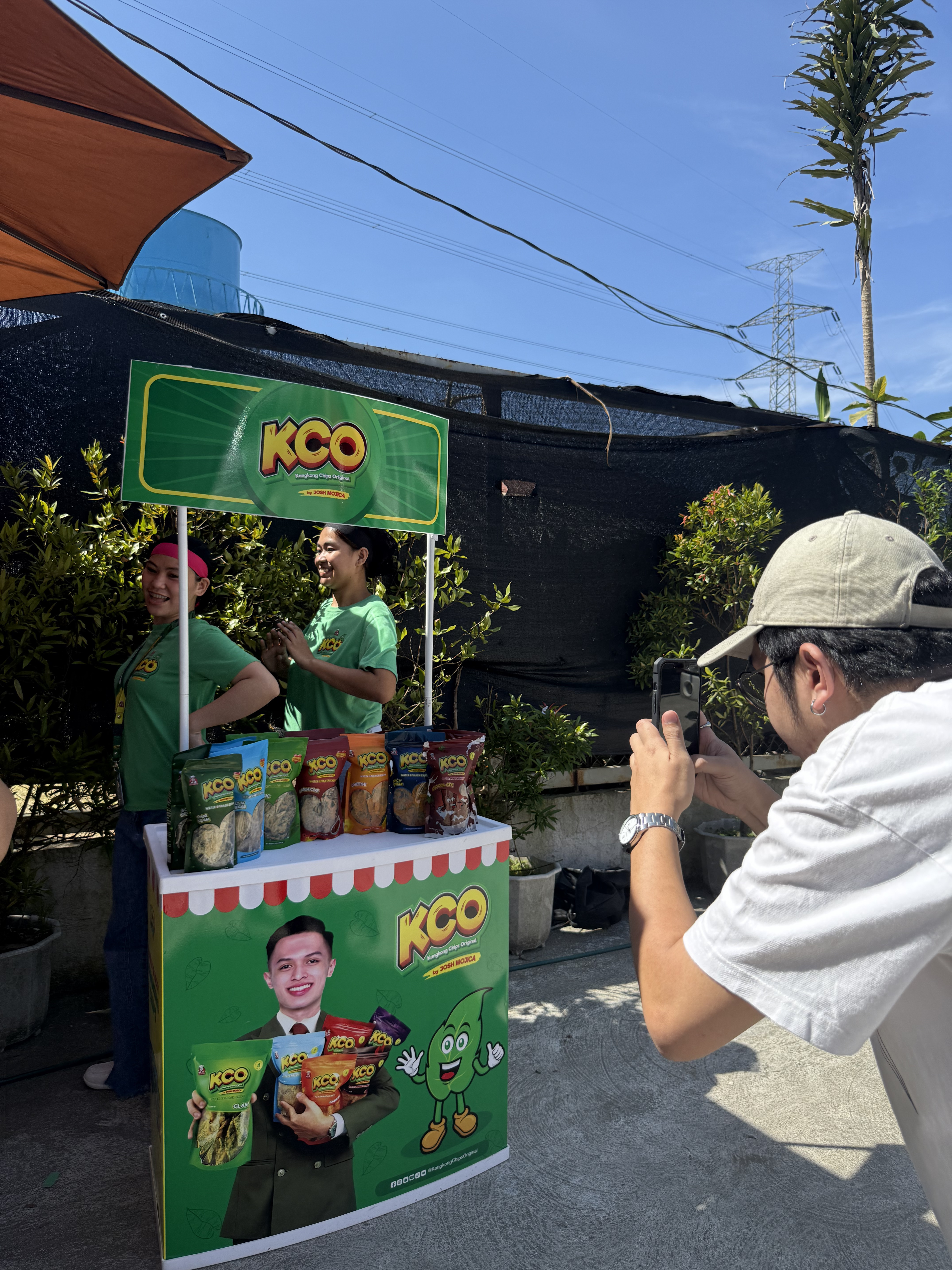 Kangkong Chips Original